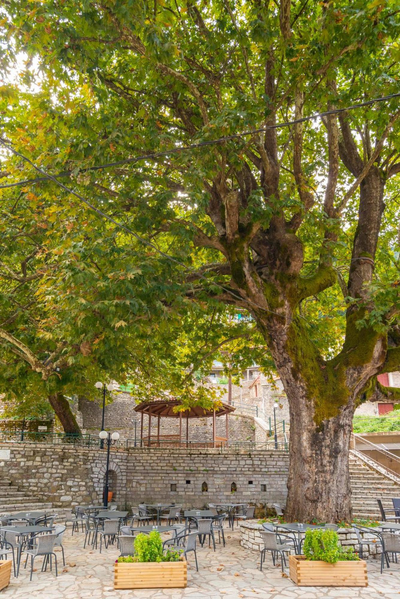 Helidona Hotel Mikro Chorio  Luaran gambar